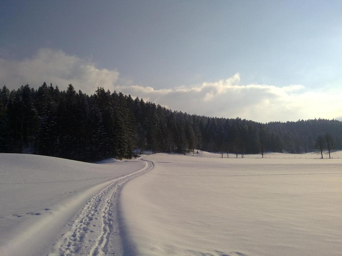 Ferienwohnung Neuhaus Kitzbuhel Bilik gambar